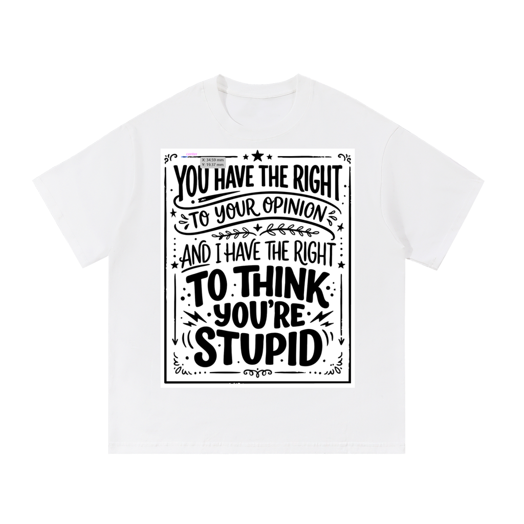 You have the right to your opinion I have the right to think you're stupid